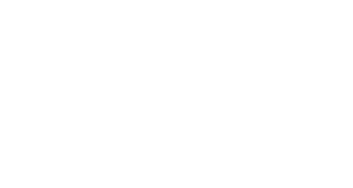 Strong Travel Services Inc logo